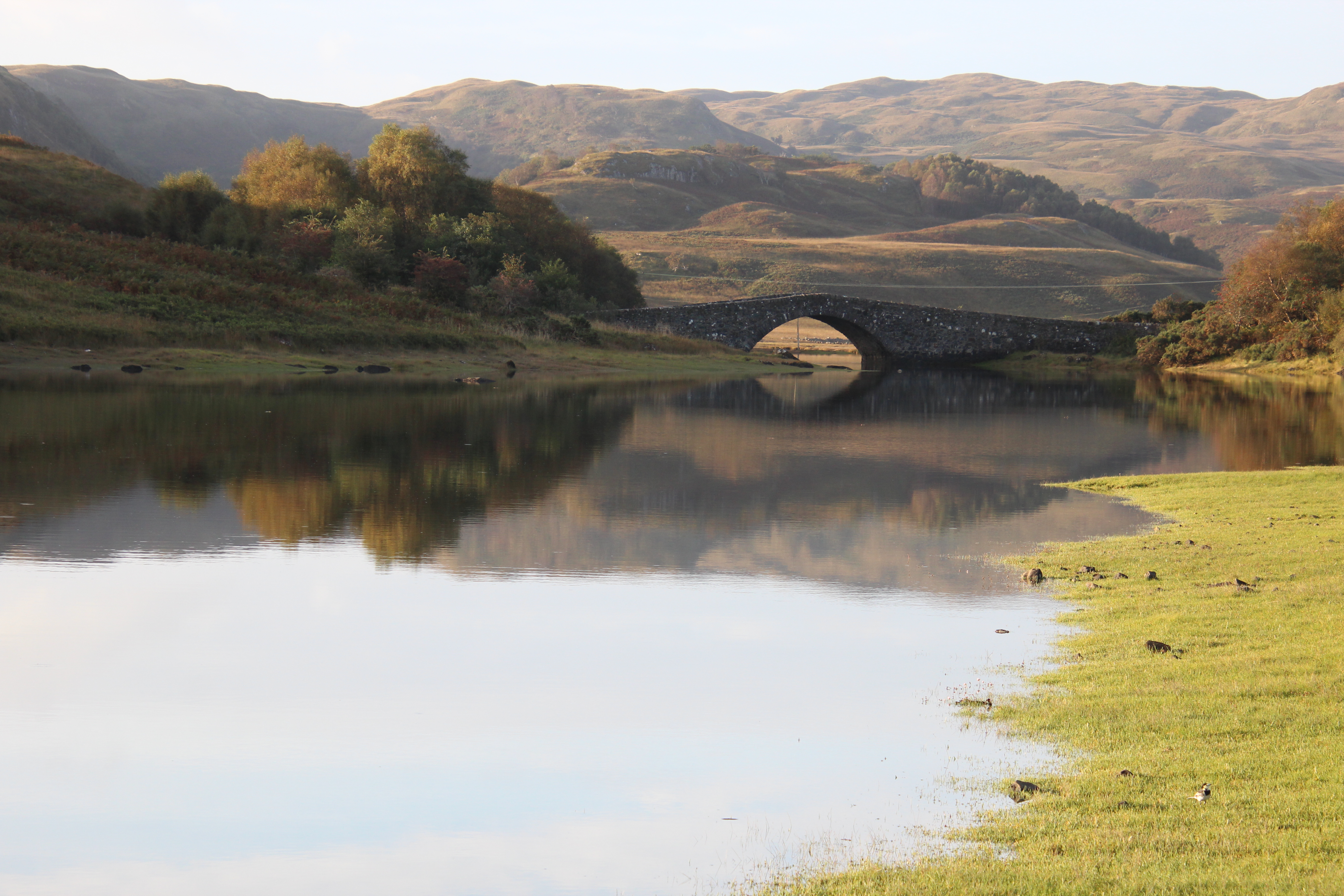 View from Fingal Cottage